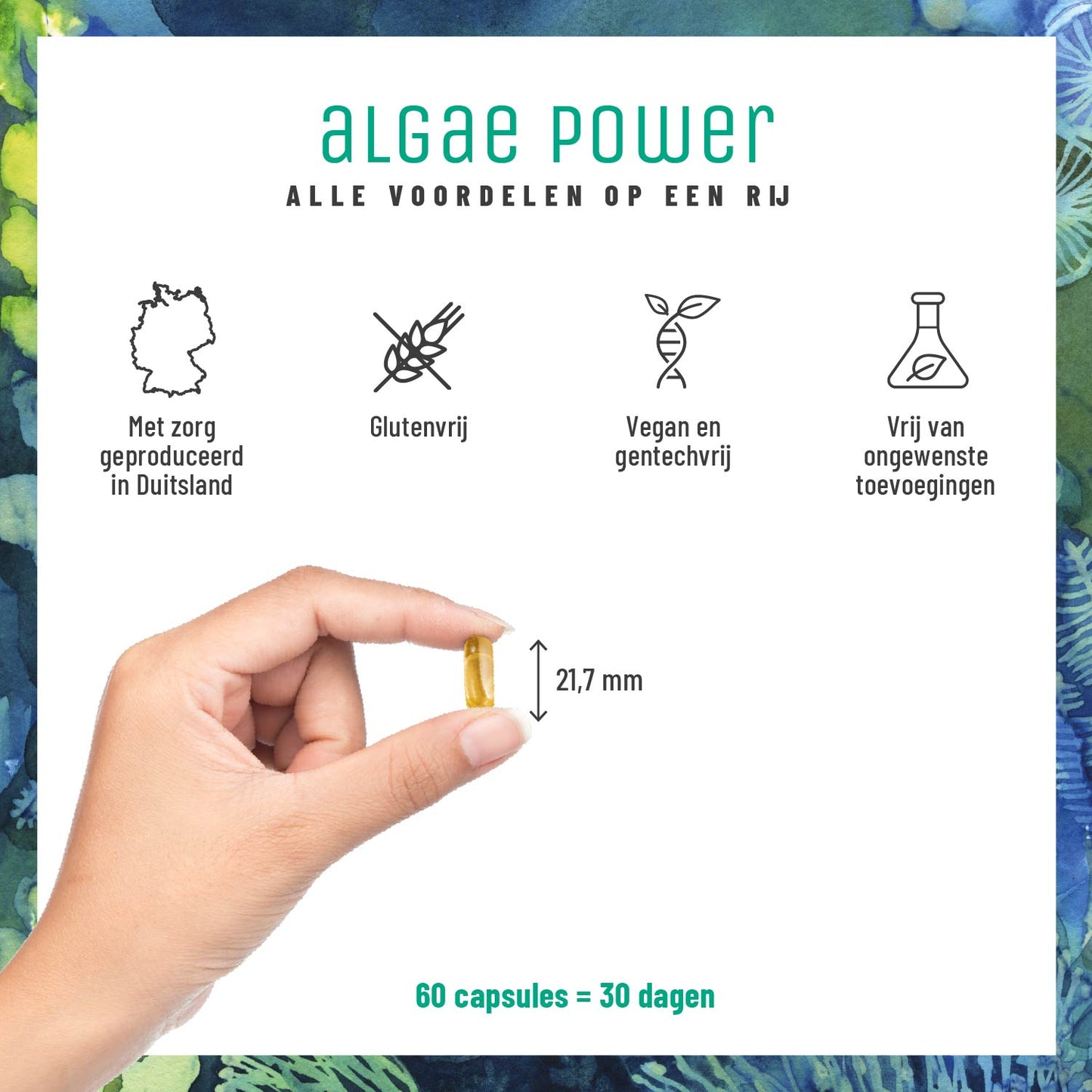 Algenkraft Omega3 Algenoel DHA EPA NL Alle Vorteile im Ueberblick