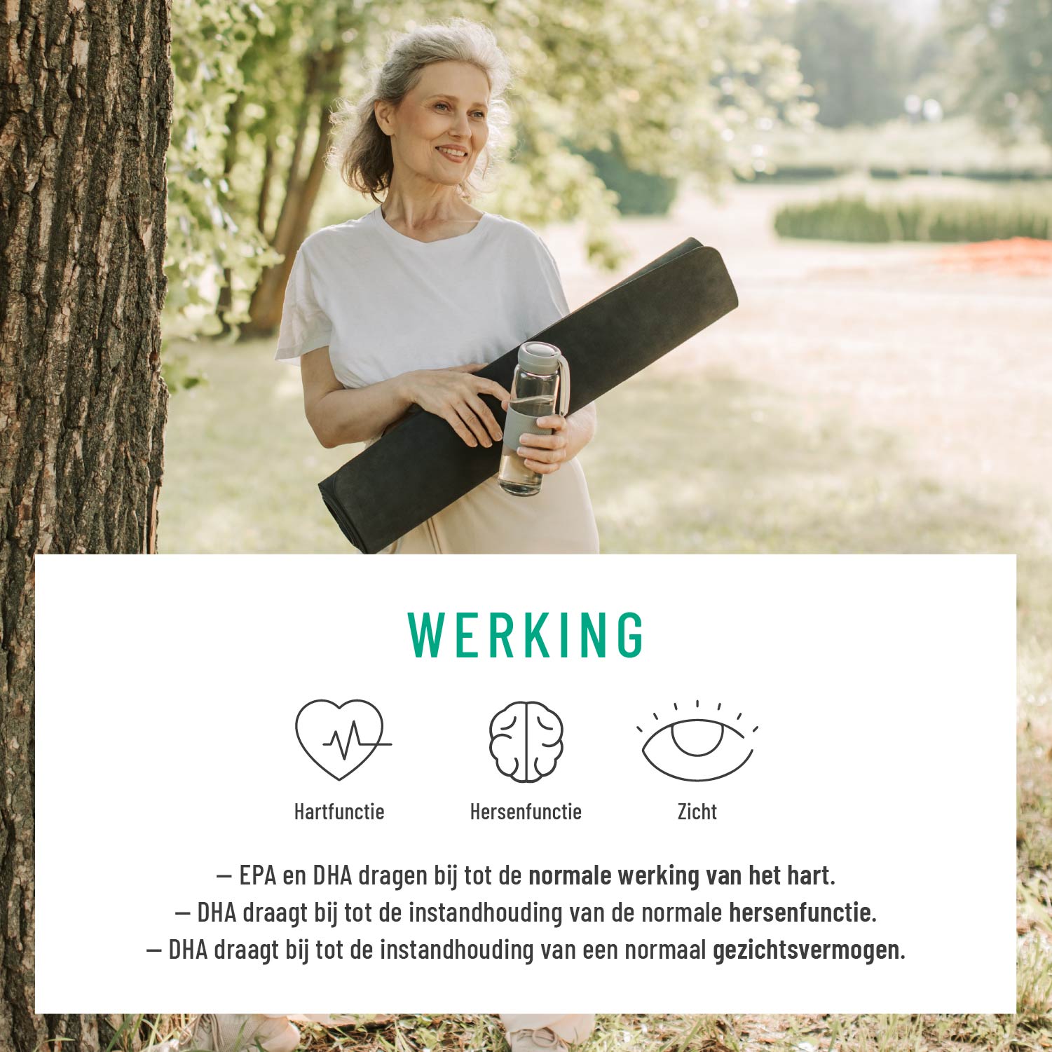 Algenkraft Omega3 Algenoel DHA EPA NL Wirkung