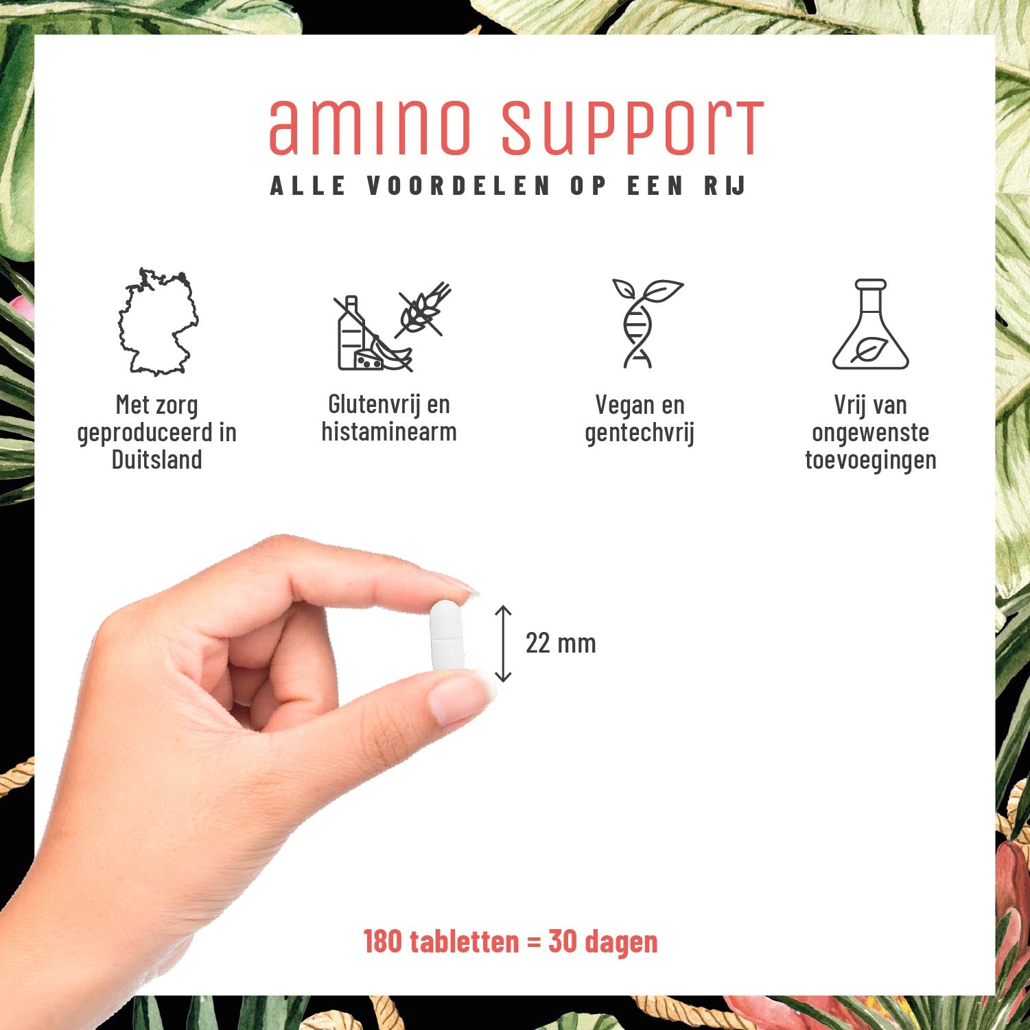 Aminokraft Aminosaeuren-Komplex NL Alle Vorteile im Ueberblick