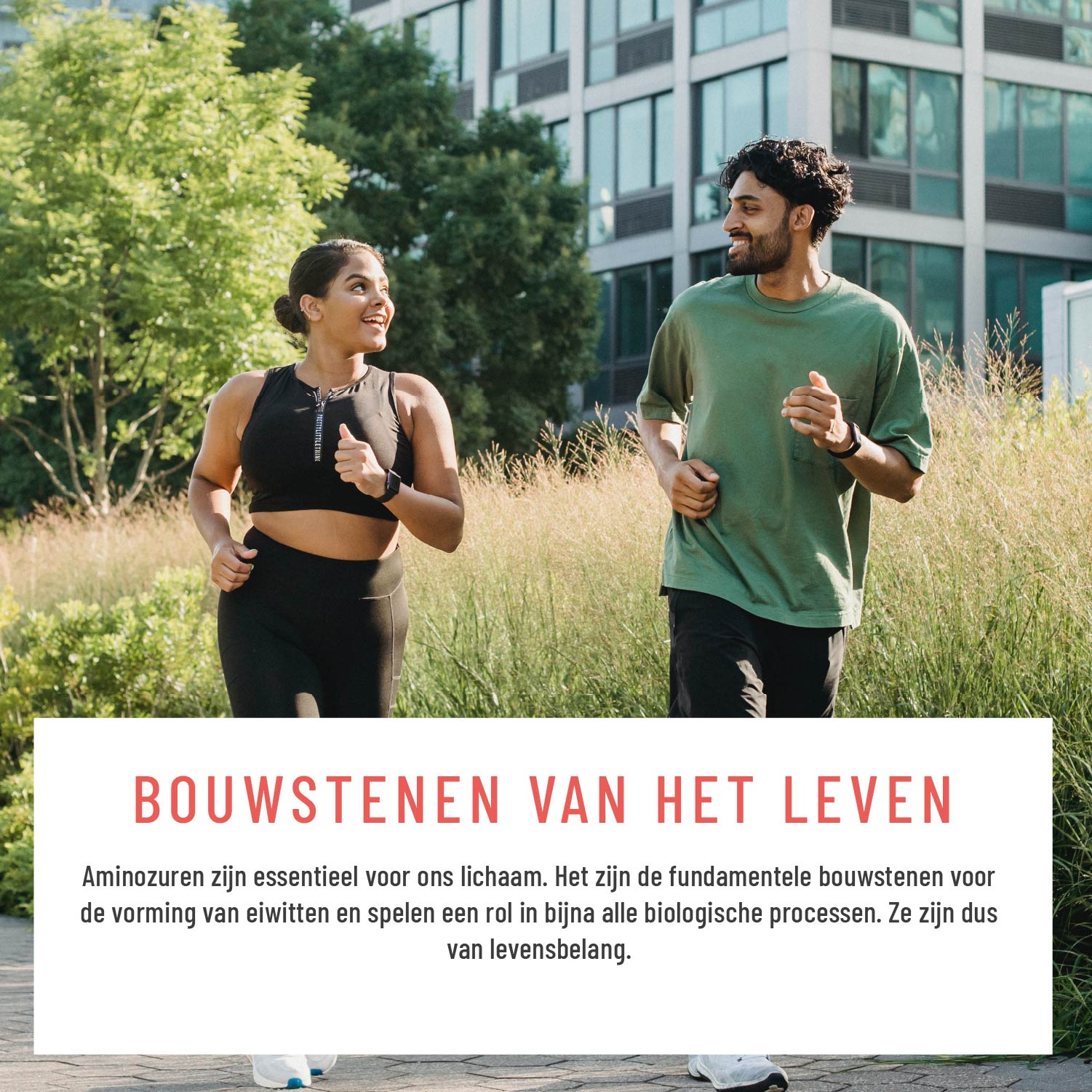 Aminokraft Aminosaeuren-Komplex NL Moodbild