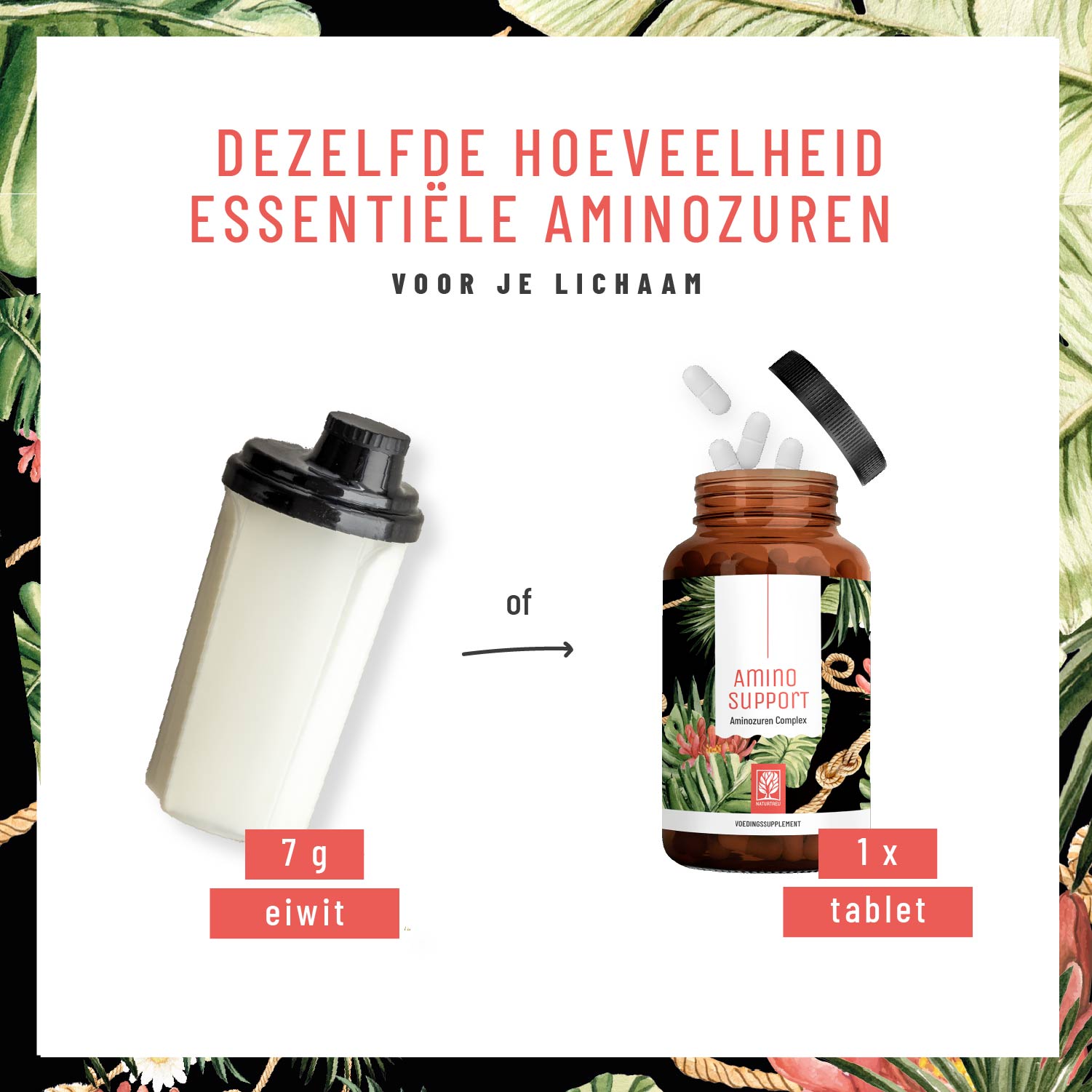 Aminokraft Aminosaeuren-Komplex NL Moodbild 02