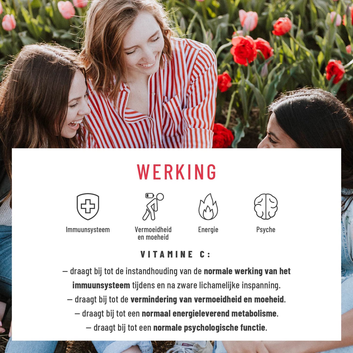 Beerenkoenig Vitamin C-Komplex NL Wirkung