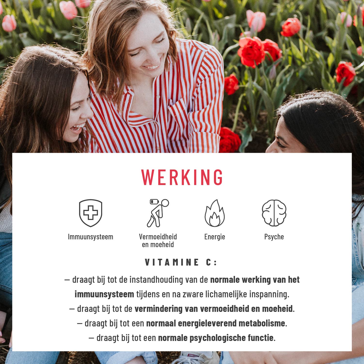 Beerenkoenig Vitamin C-Komplex NL Wirkung