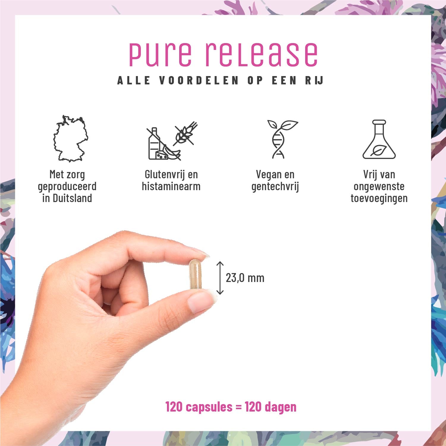 Bluetenrein Leber-Komplex NL Alle Vorteile im Ueberblick