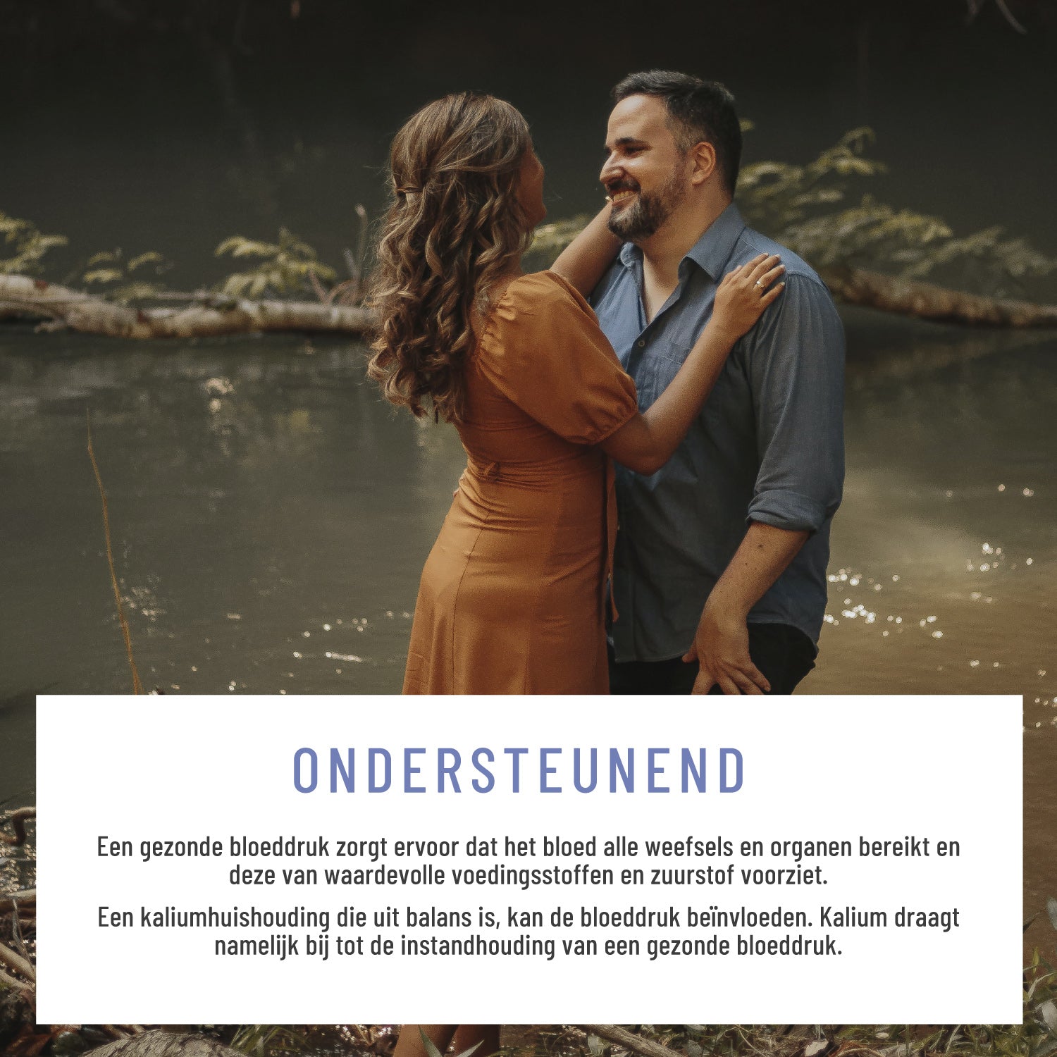 Blutdruck OPC Komplex NL Moodbild