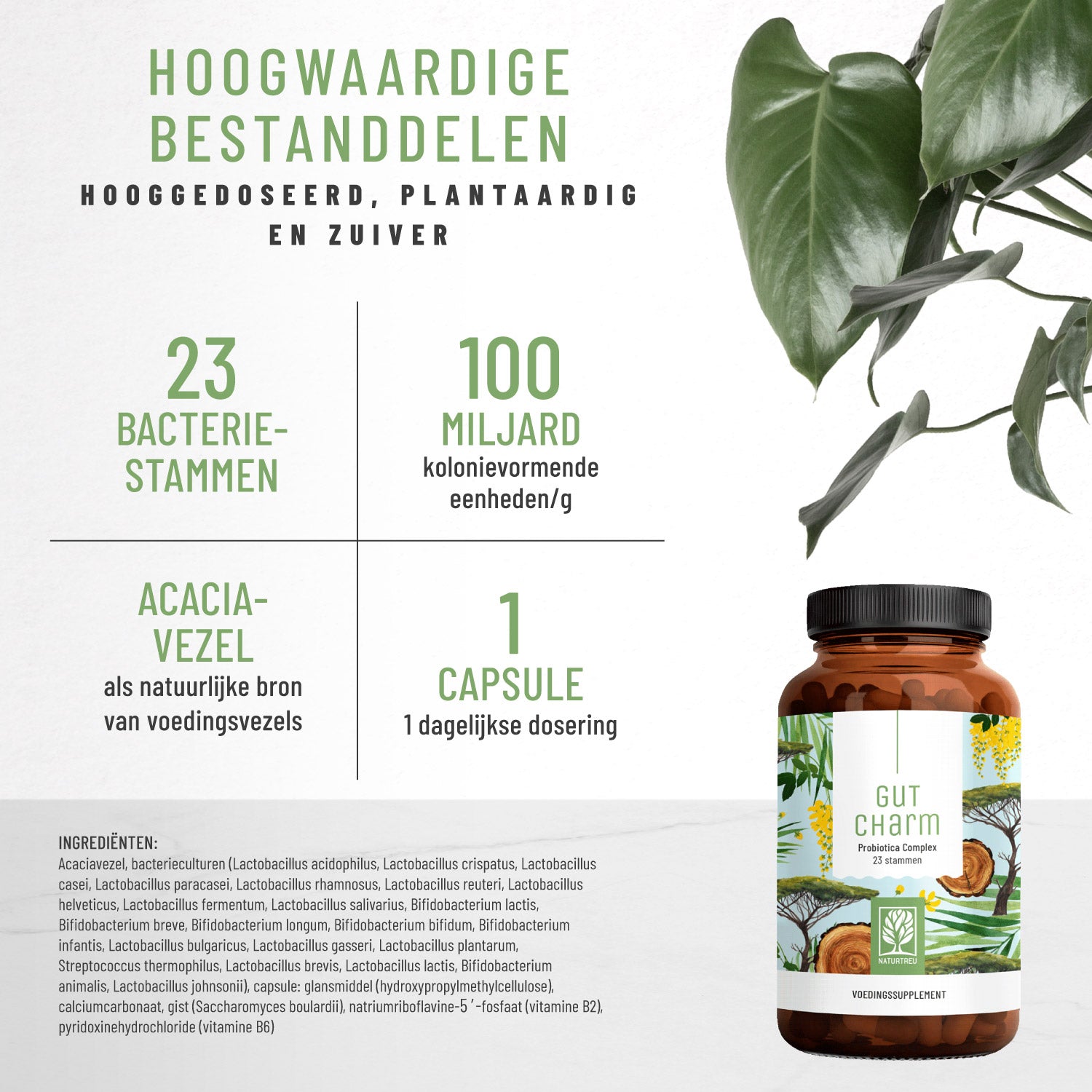 Florazauber Kulturen-komplex NL Hochwertige Inhaltsstoffe