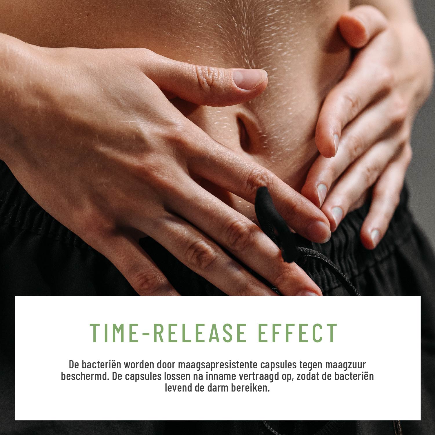 Florazauber Kulturen-komplex NL Moodbild