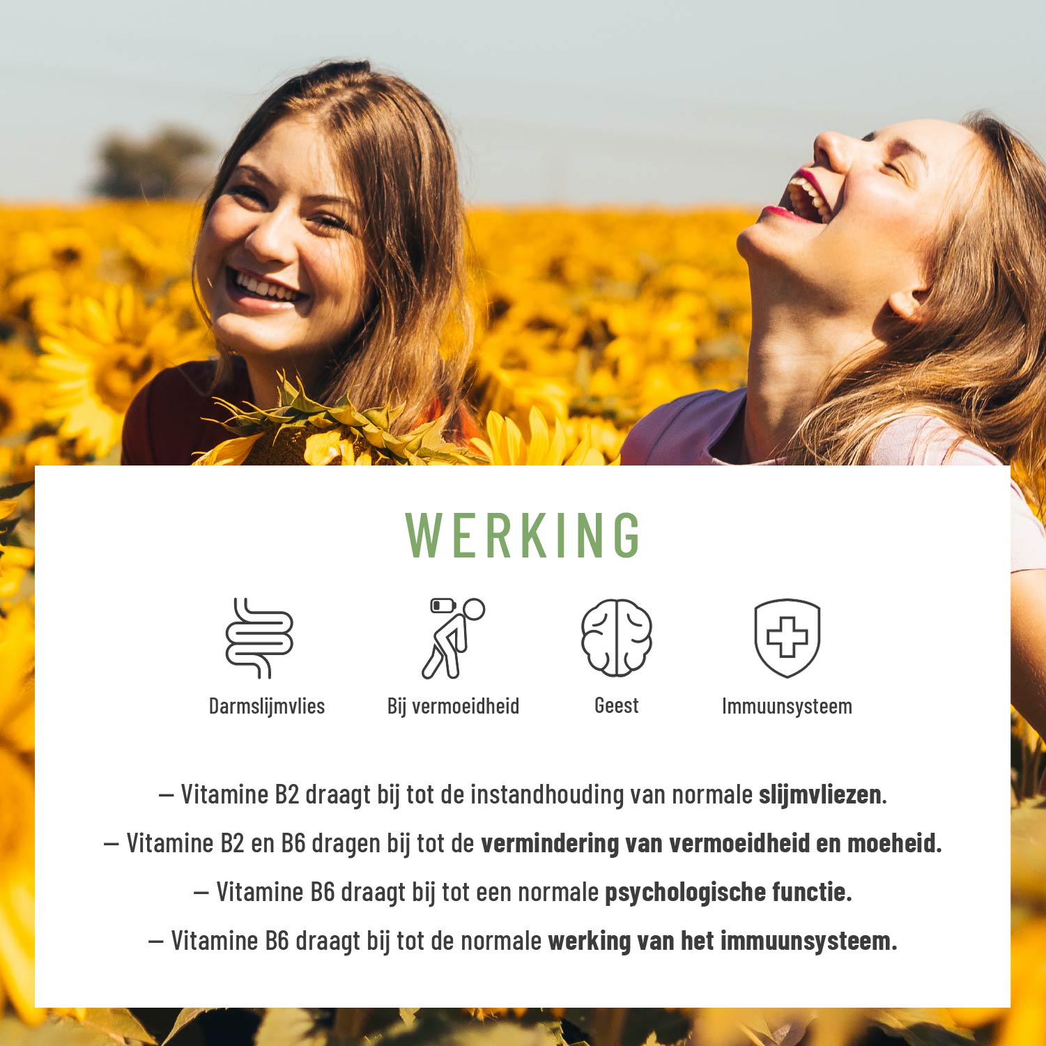 Florazauber Kulturen-komplex NL Wirkung