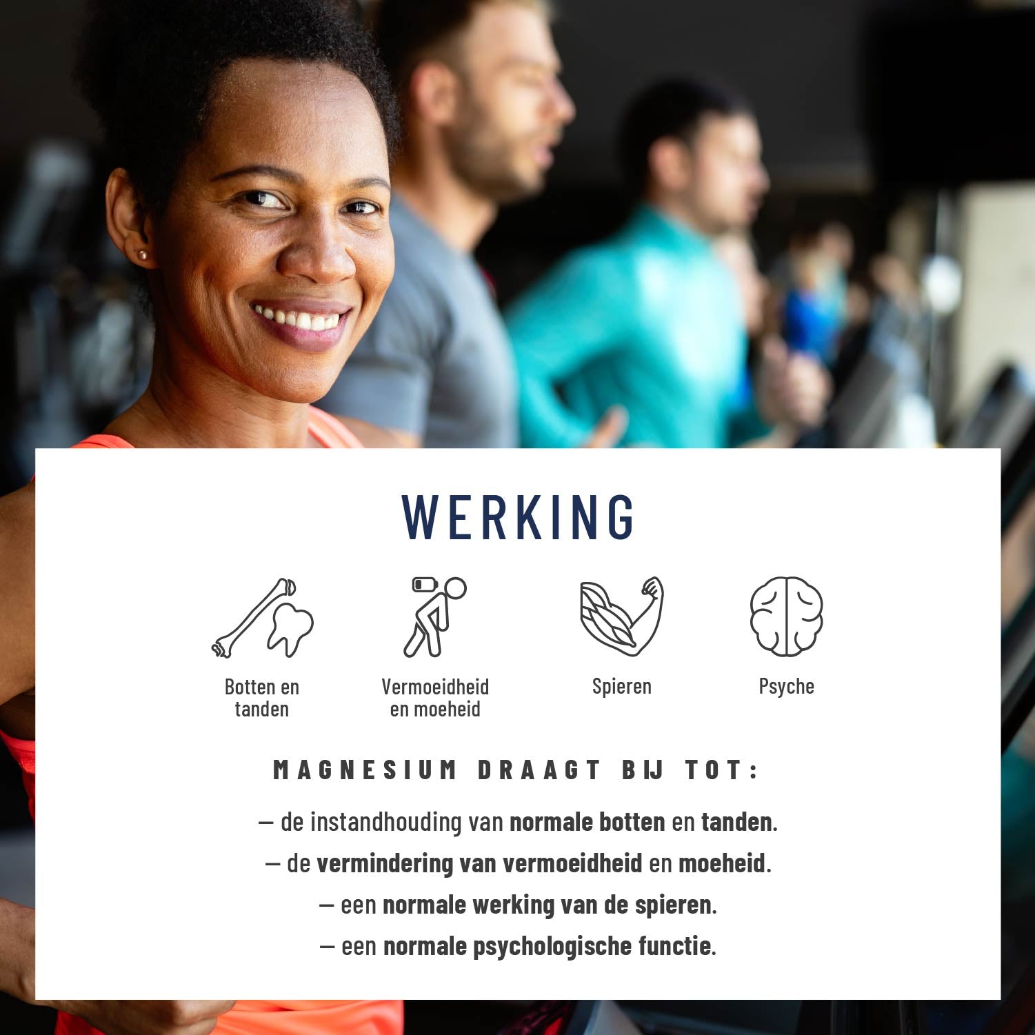 Kraftreserve NL Wirkung