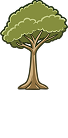 Krachtboom