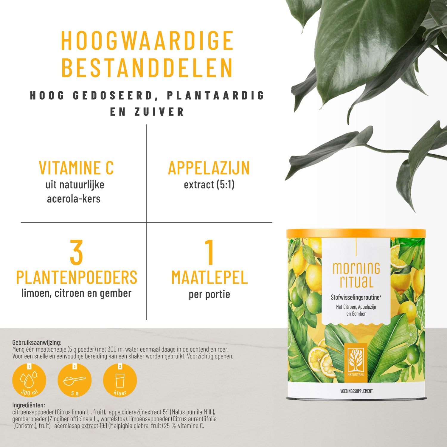 Morgenritual Stoffwechsel-Routine NL Hochwertige Inhaltsstoffe