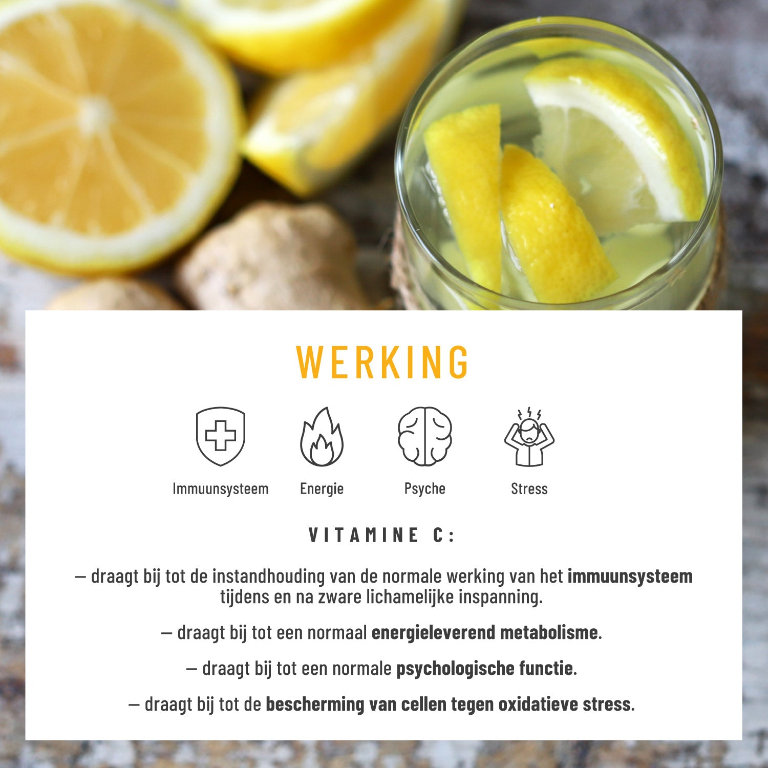 Morgenritual Stoffwechsel-Routine NL Wirkung