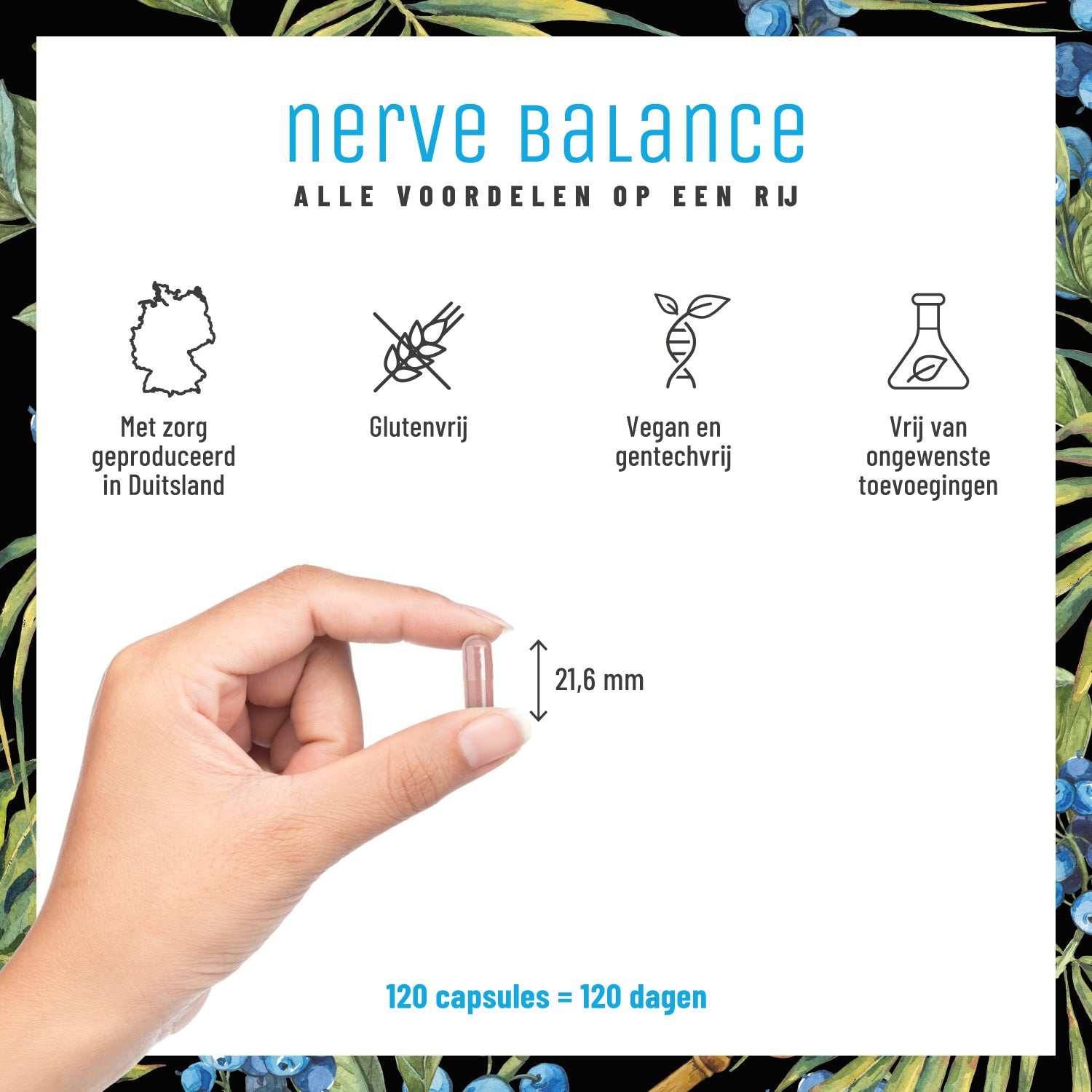 Nervenstark Vitamin-B-Komplex NL Alle Vorteile im Ueberblick