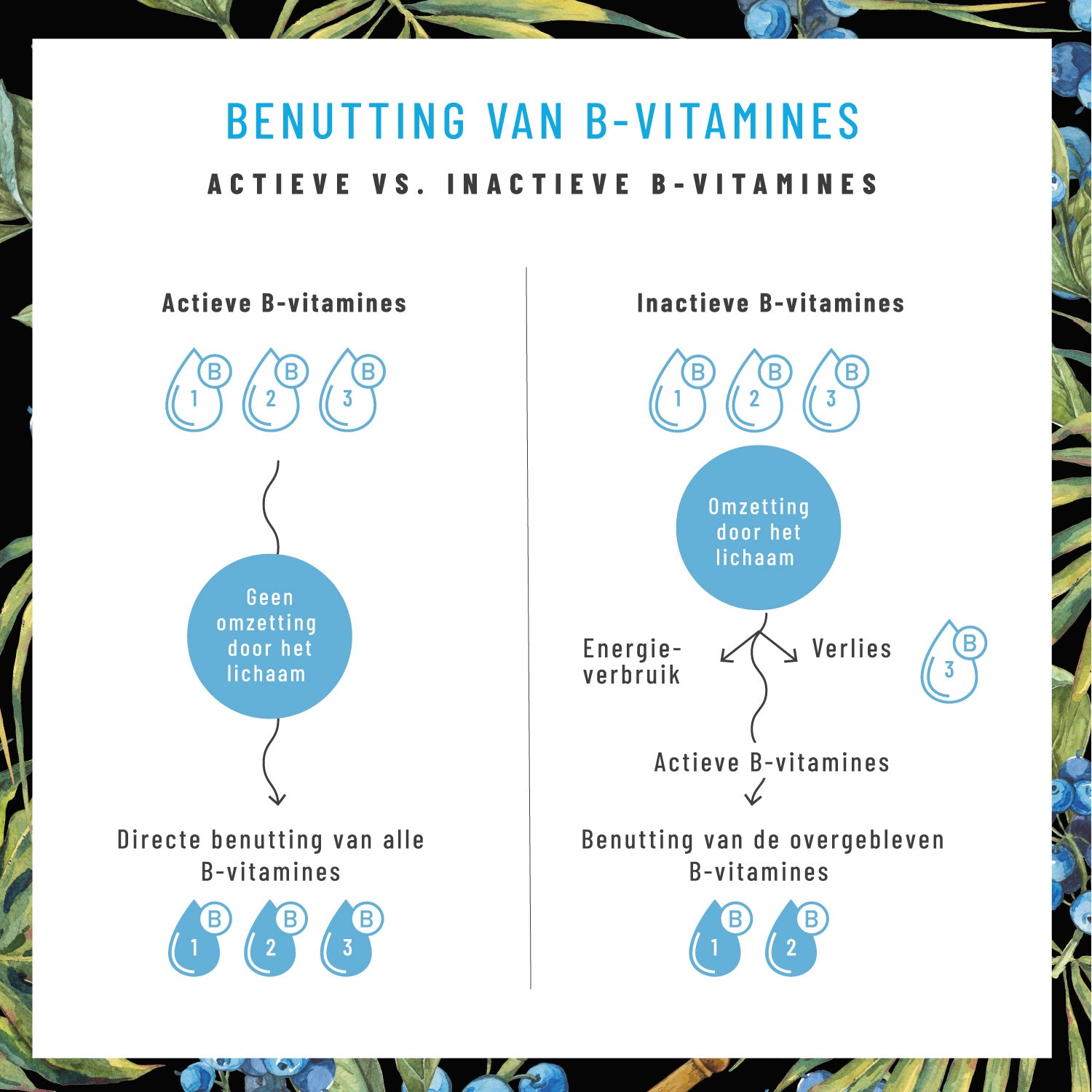 Nervenstark Vitamin-B-Komplex NL USP