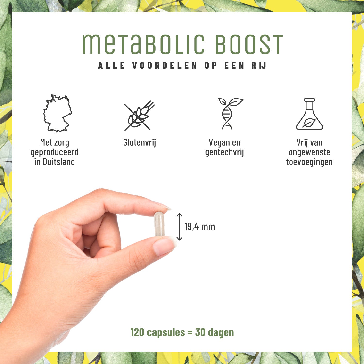 Stoffwechsel Metabolismus-Komplex NL Alle Vorteile im Ueberblick