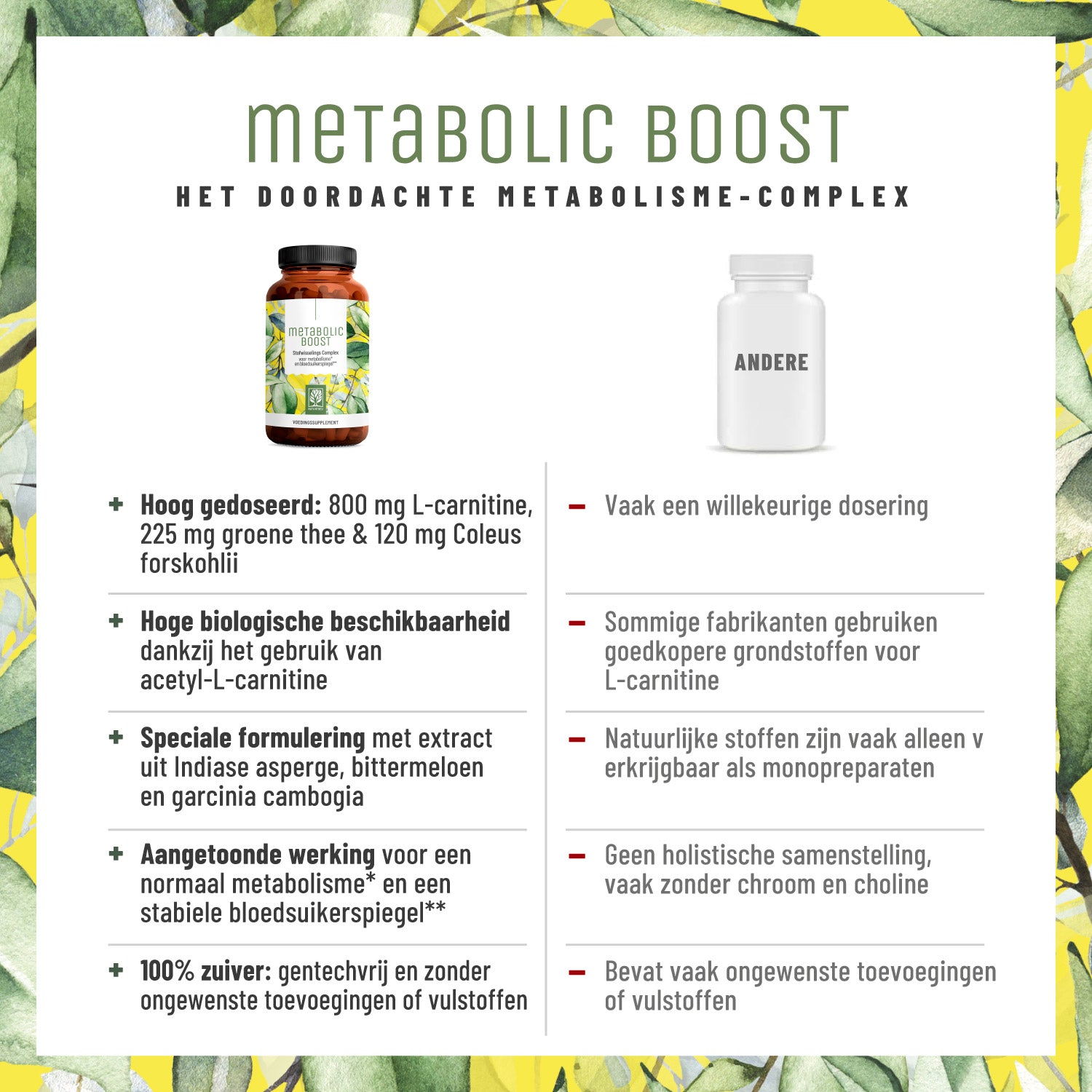 Stoffwechsel Metabolismus-Komplex NL Vergleichstabelle