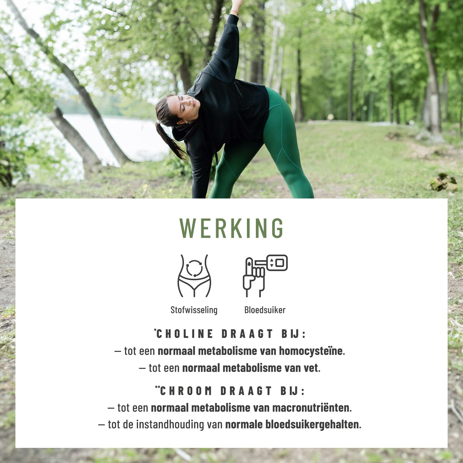 Stoffwechsel Metabolismus-Komplex NL Wirkung