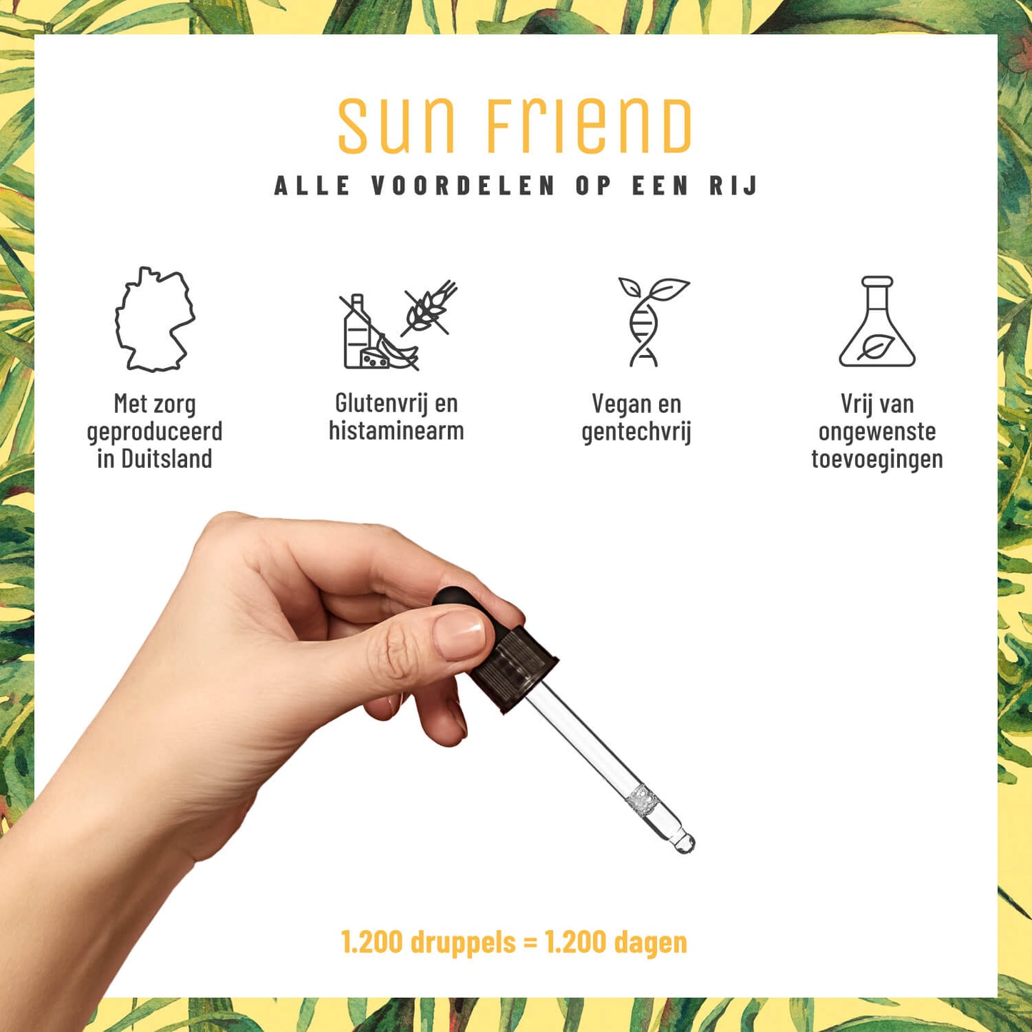 Sun Friend Alle Vorteile im Ueberblick