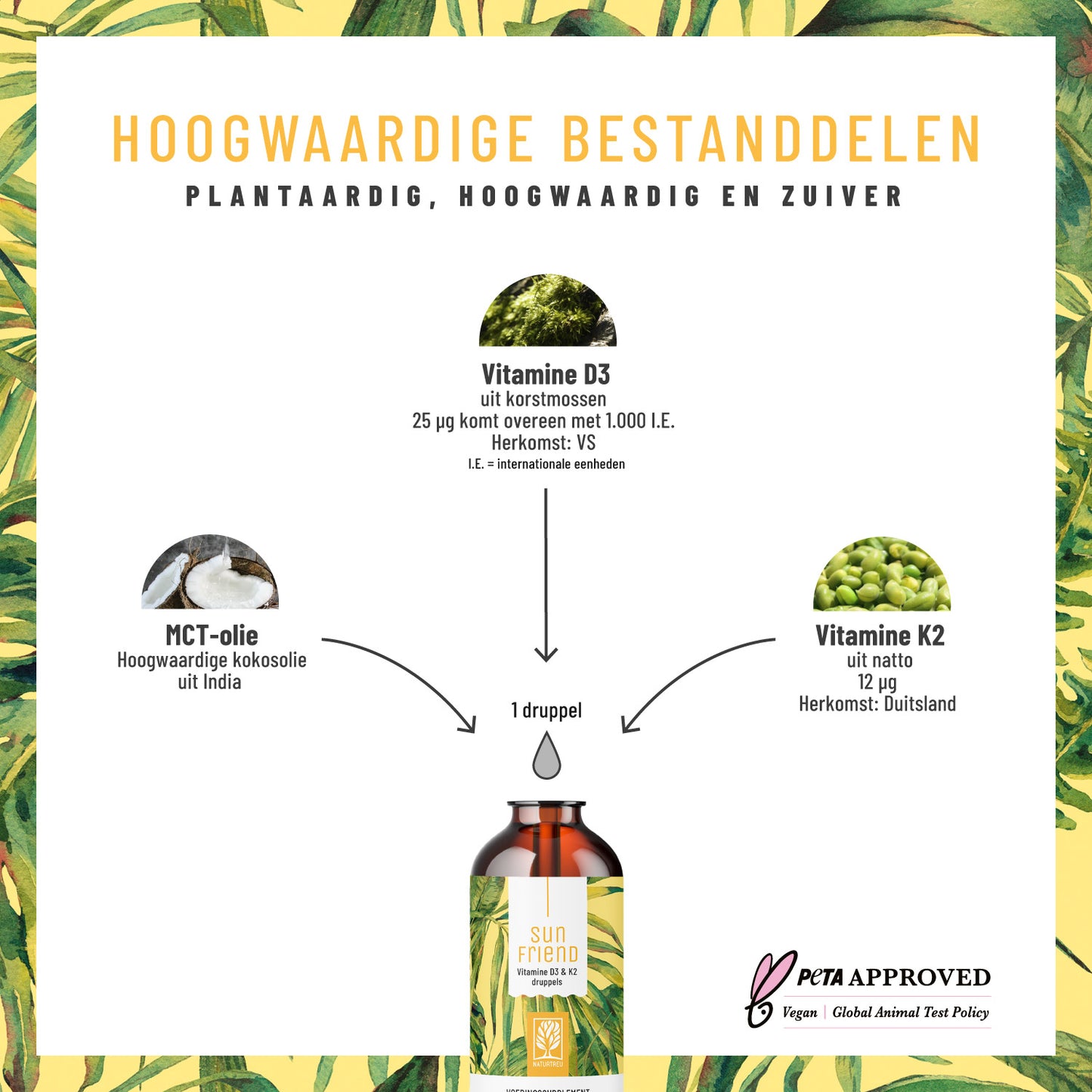 Sun Friend Hochwertige Inhaltsstoffe
