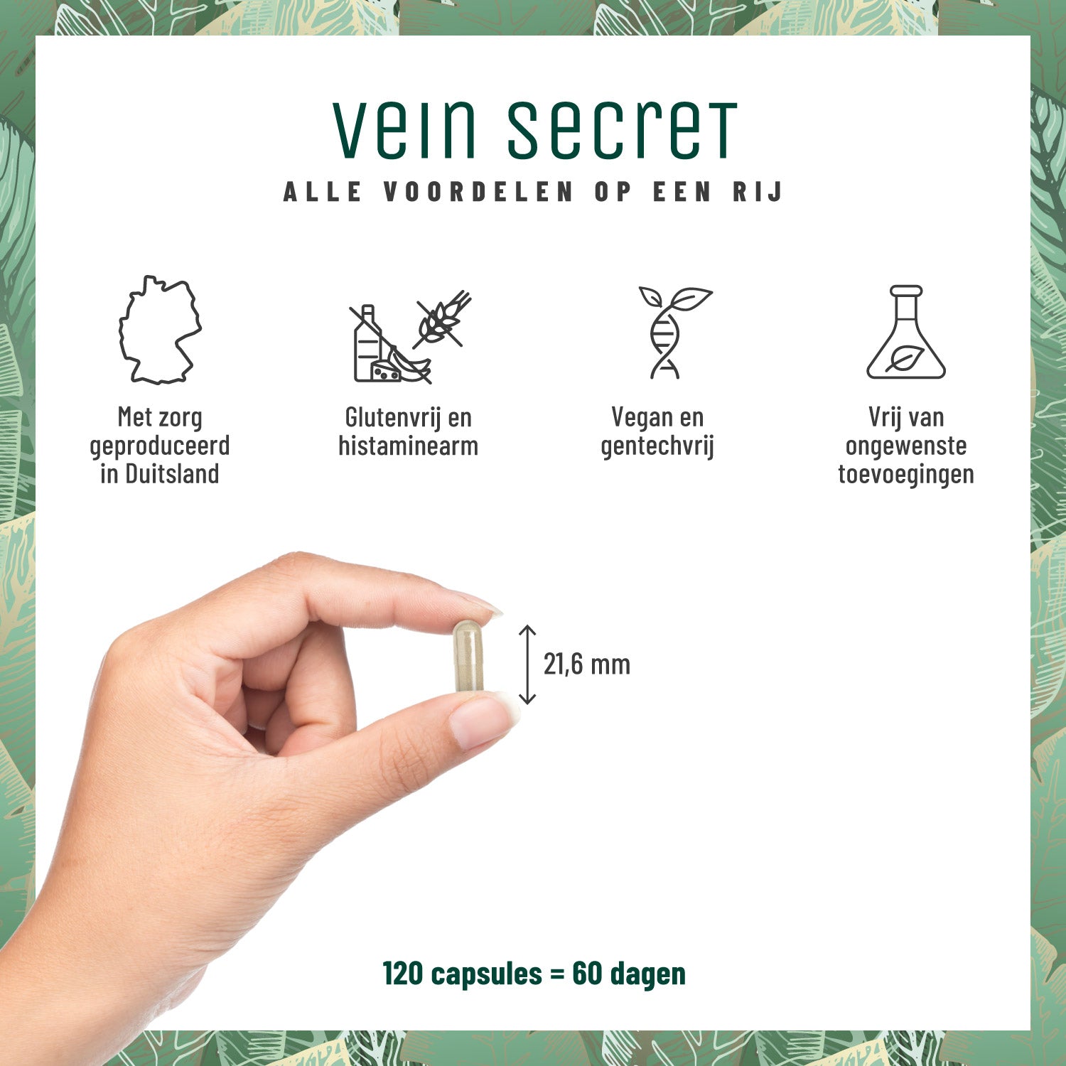 Venenschatz Rutin Steinklee NL Alle Vorteile im Ueberblick