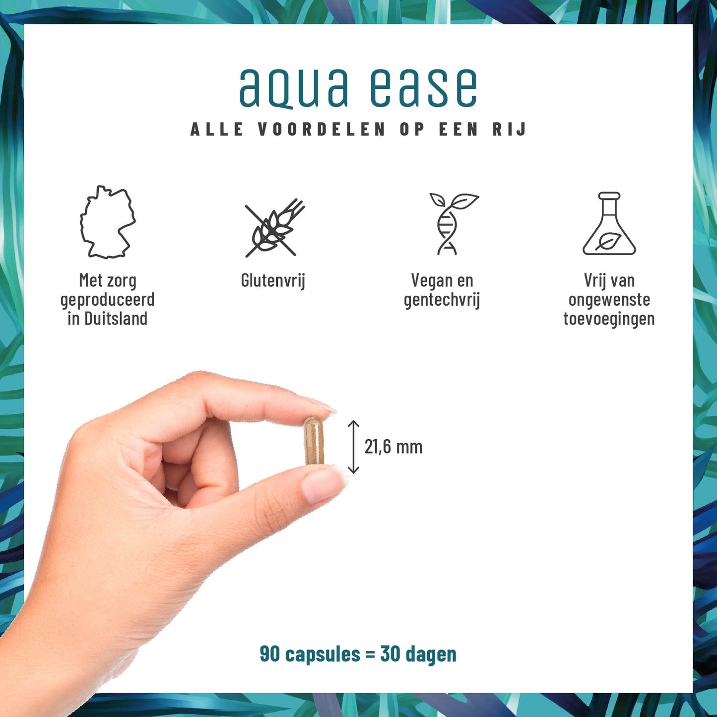 Wasserbalance Brennessel-Komplex NL Alle Vorteile im Ueberblick