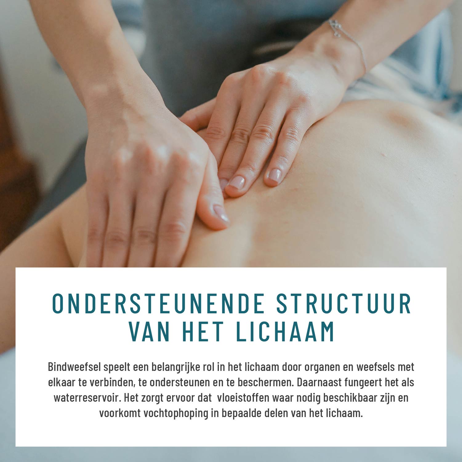 Wasserbalance Brennessel-Komplex NL Moodbild