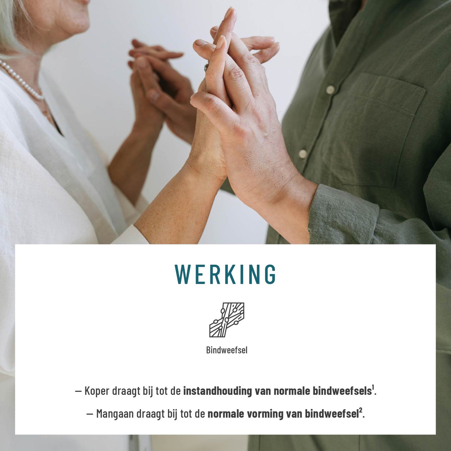 Wasserbalance Brennessel-Komplex NL Wirkung