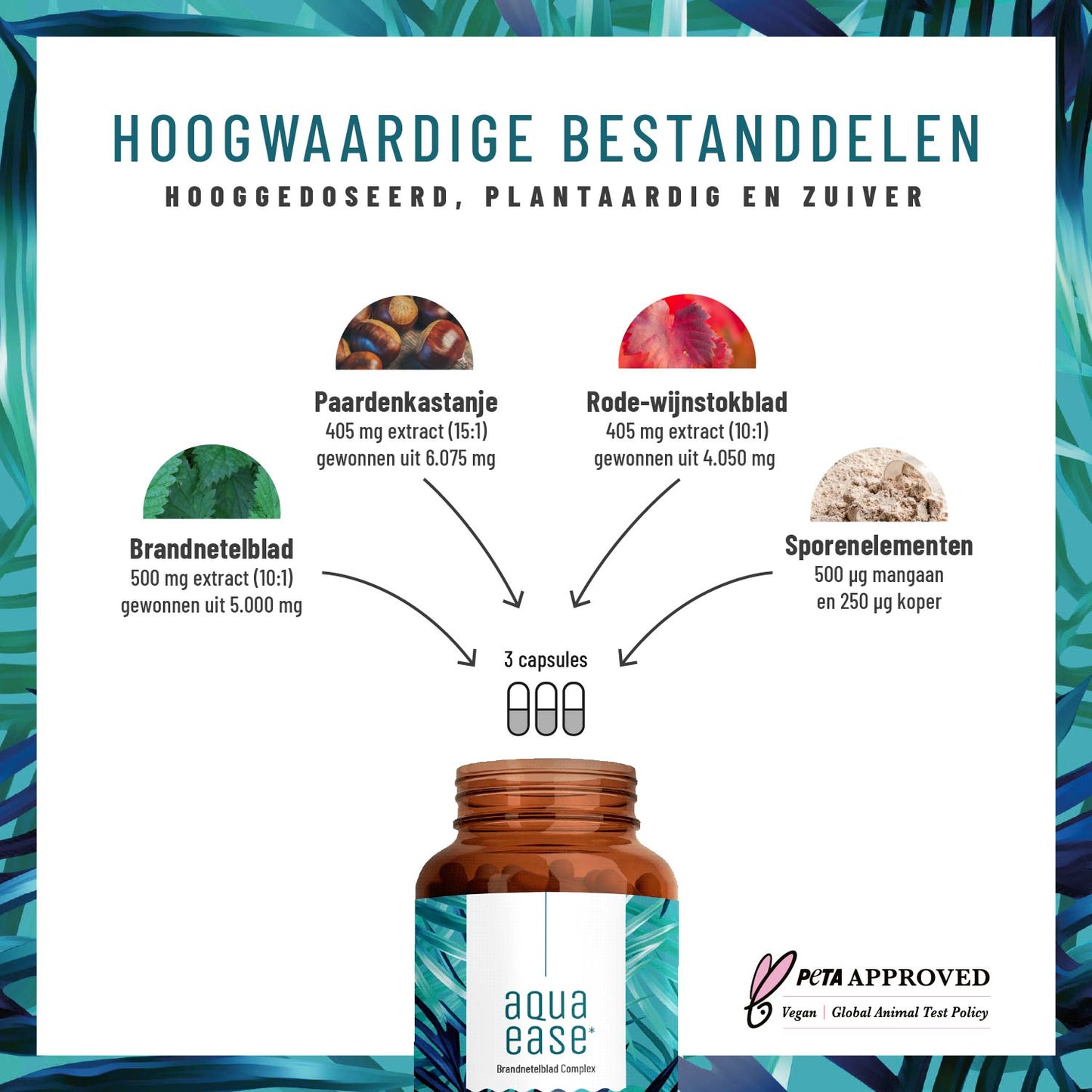 Wasserbalance Brennessel-Komplex Hochwertige Inhaltsstoffe NL Inhaltsstoffe