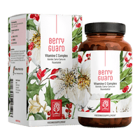 Beerenkoenig Vitamin-C-Komplex NL Titelbild