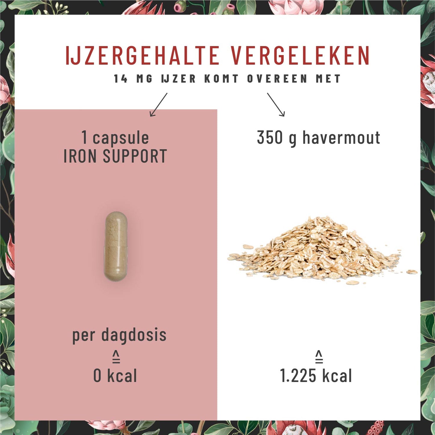 Blutkraft Eisen-Komplex NL im Vergleich