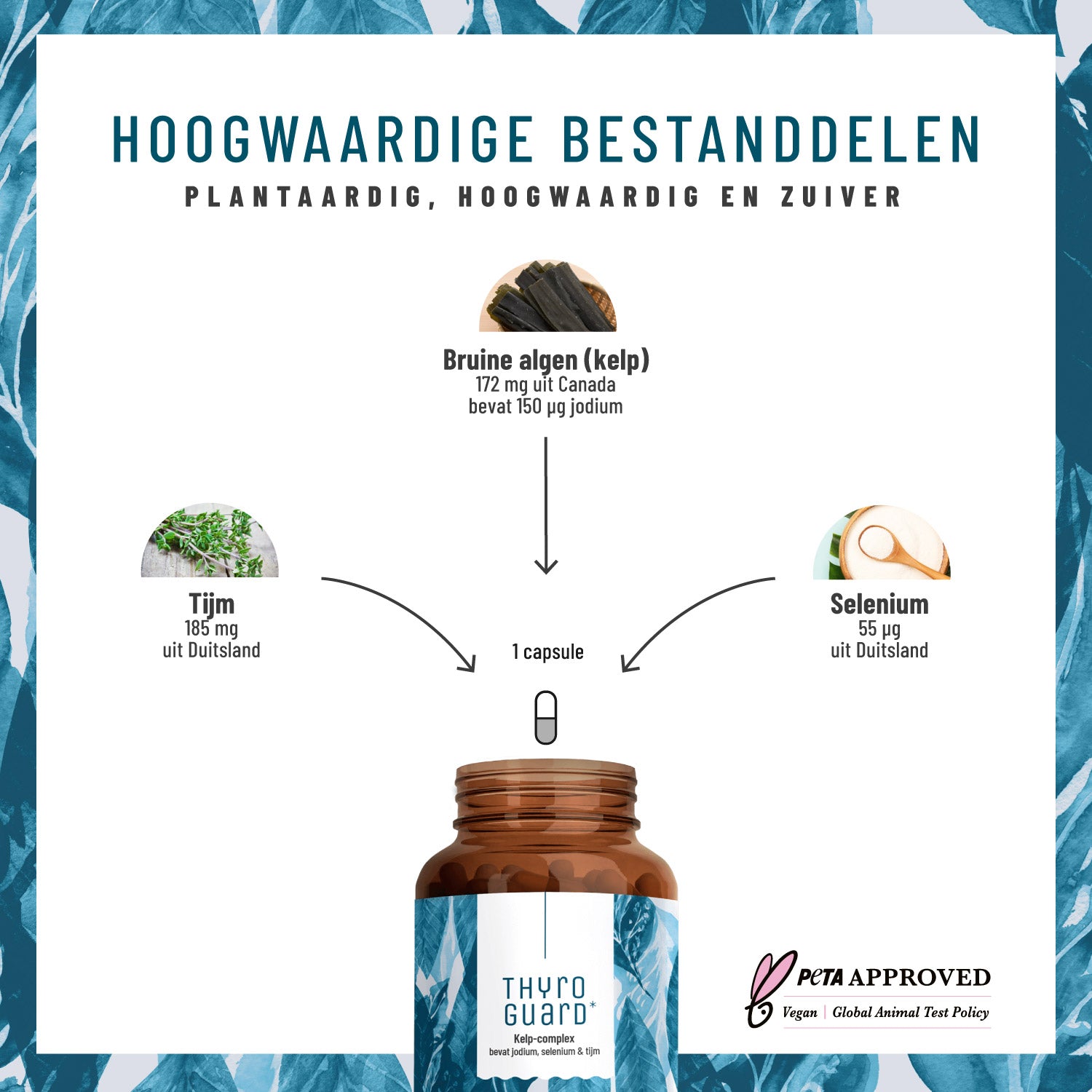 Druesenschild Kelp-Komplex NL Jod hochwertige Inhaltsstoffe
