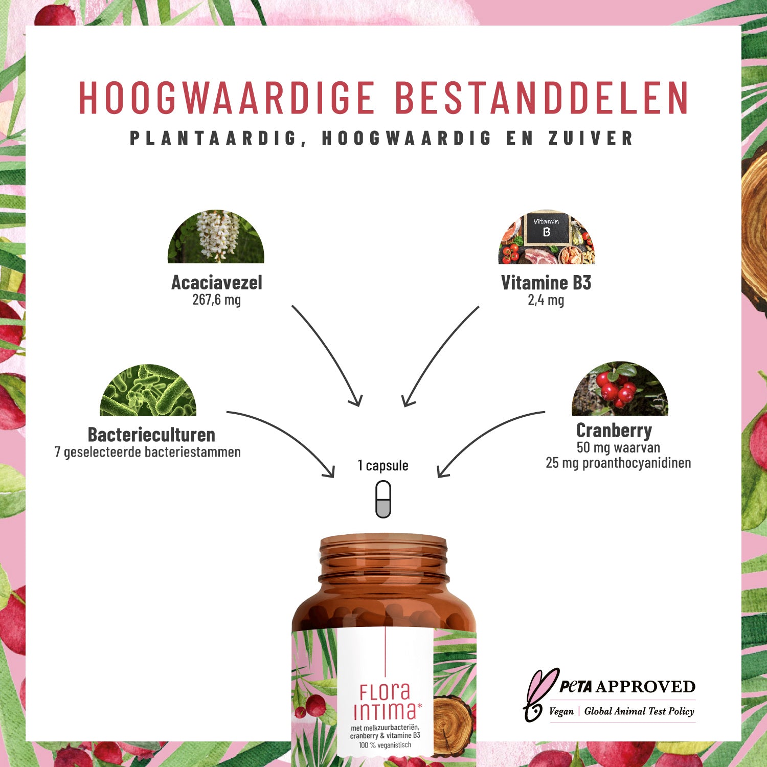 Floraintima Milchsaeurebakterien cranberry vitamin b3 NL Hochw Inhaltsstoffe