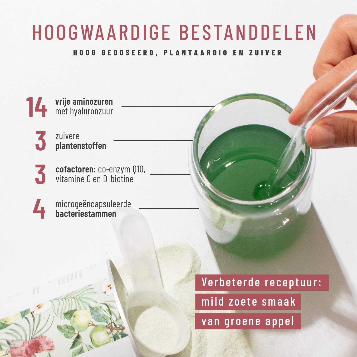 Glanzvoll Vegane-Kollagen-Bildungsunterstuetzung Hochwertige Inhaltsstoffe 