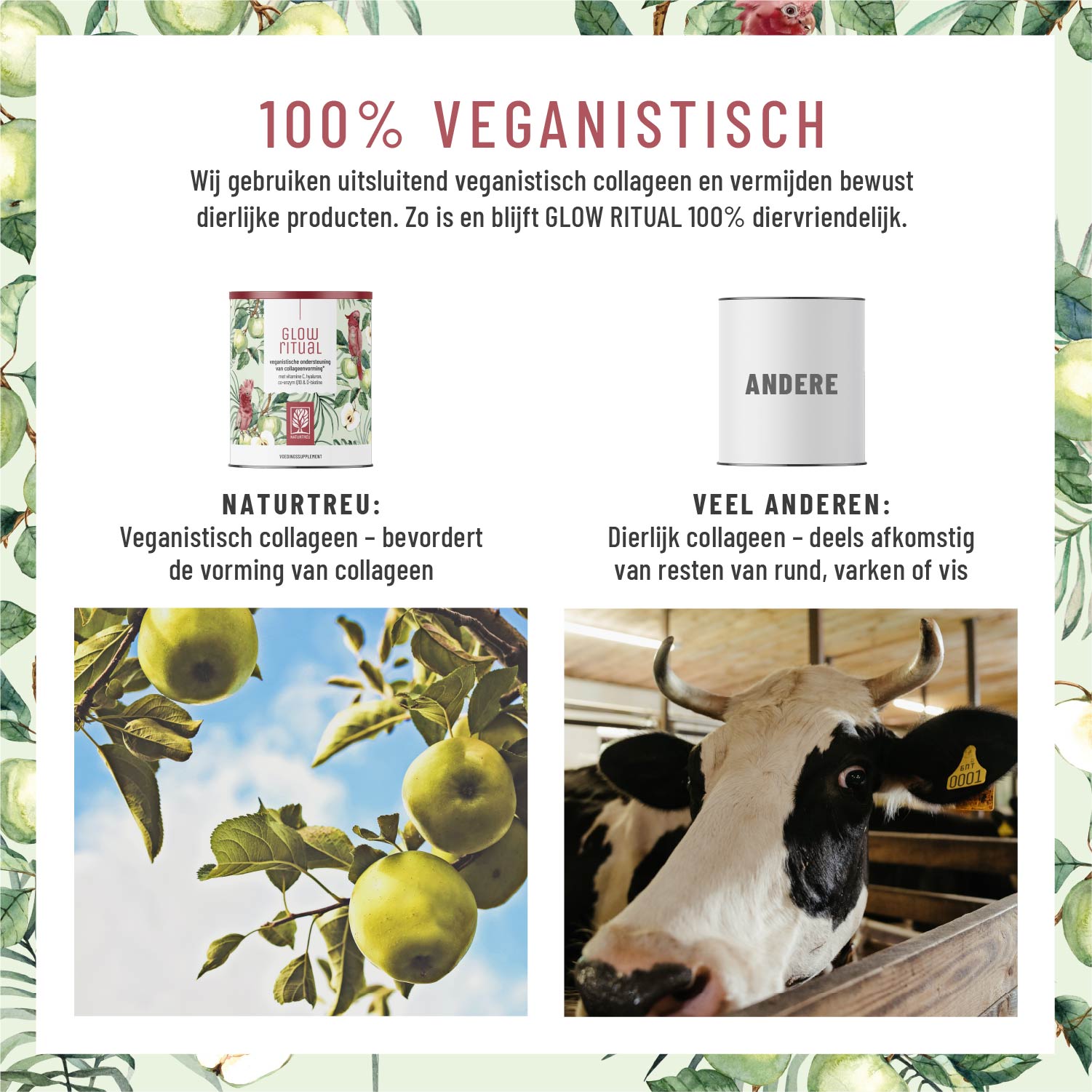 Glanzvoll Vegane-Kollagen-Bildungsunterstuetzung Vergleich 