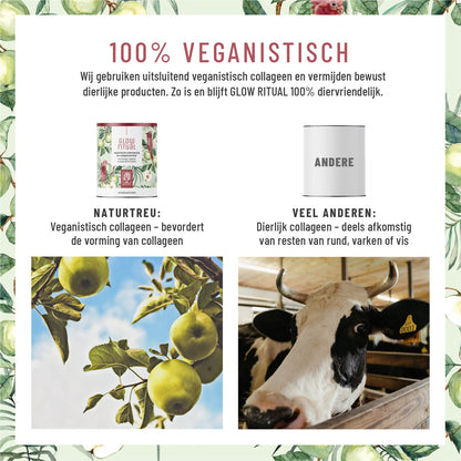 Glanzvoll Vegane-Kollagen-Bildungsunterstuetzung Vergleich 