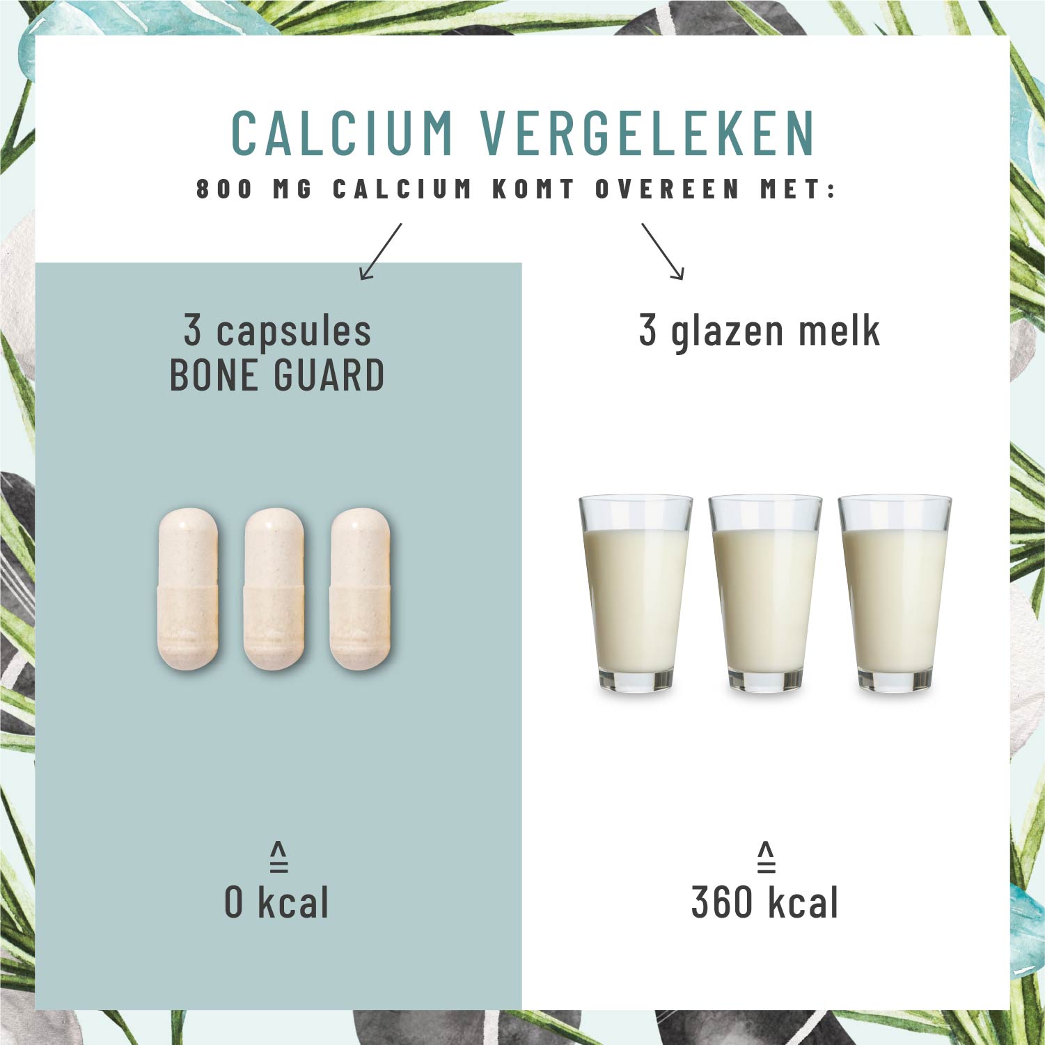 Knochenstark Calcium-Komplex NL Calcium Vergleich