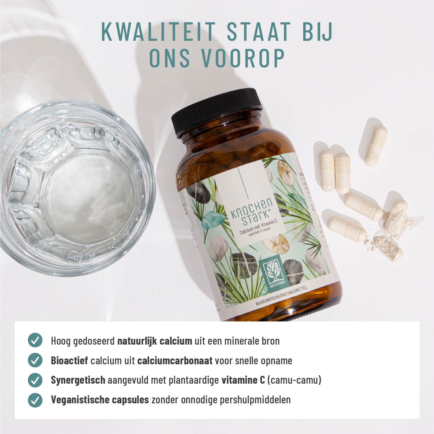 Knochenstark Calcium Vitamin C NL Qualitaet