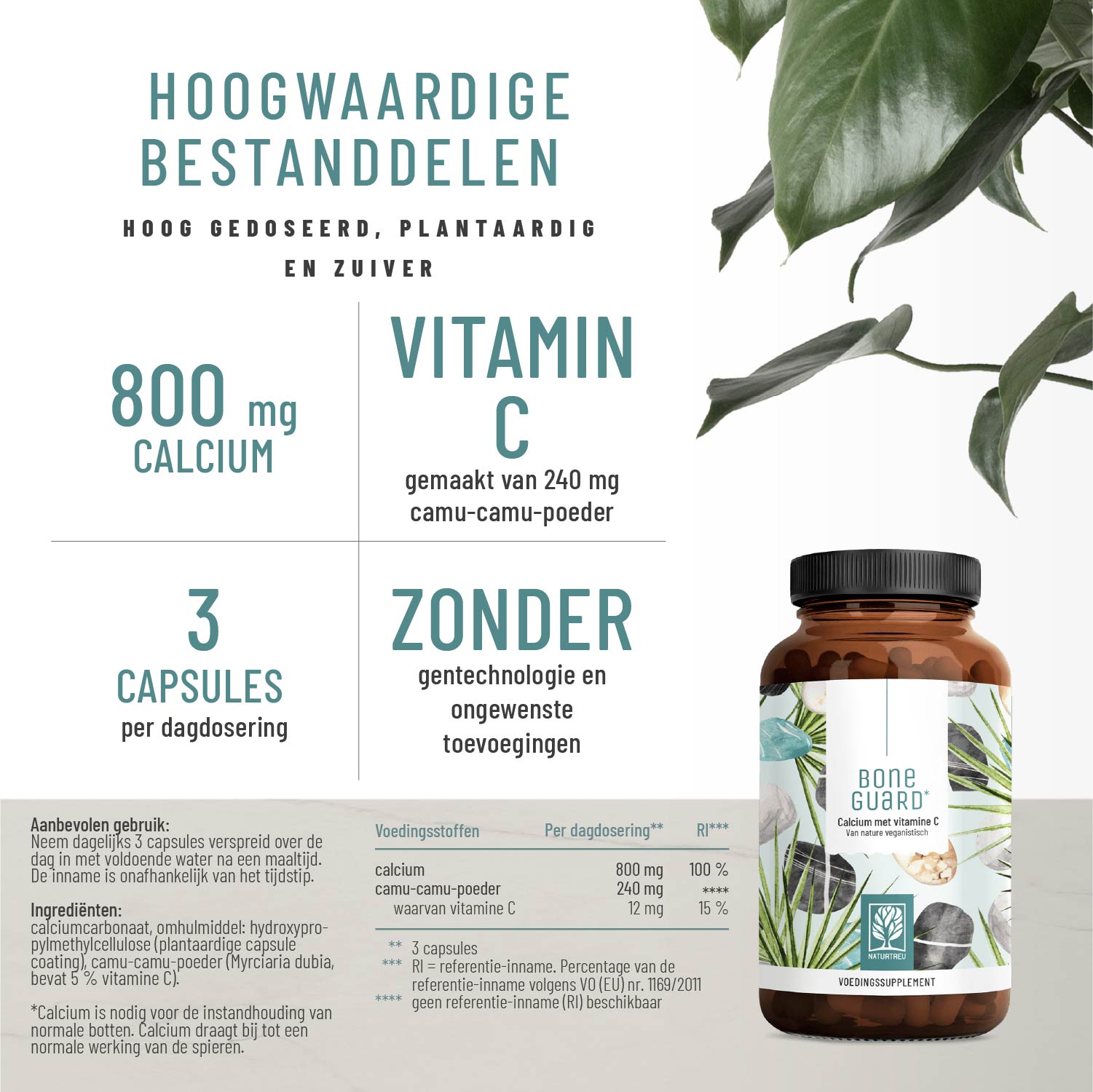 Knochenstark Calcium Vitamin C NL hochwertige Inhaltsstoffe