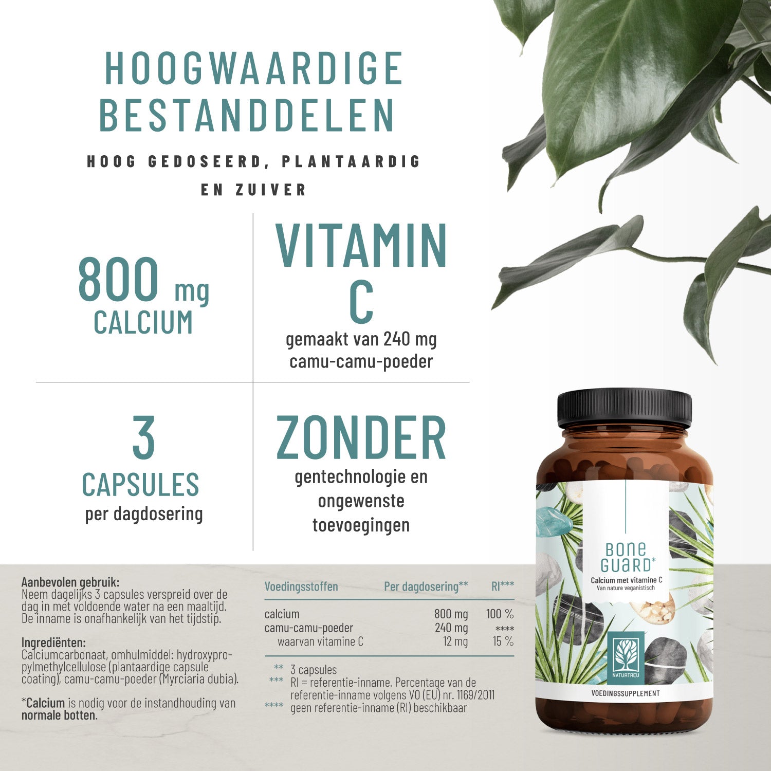 Knochenstark Calcium Vitamin C NL Hochwertige IInhaltsstoffe
