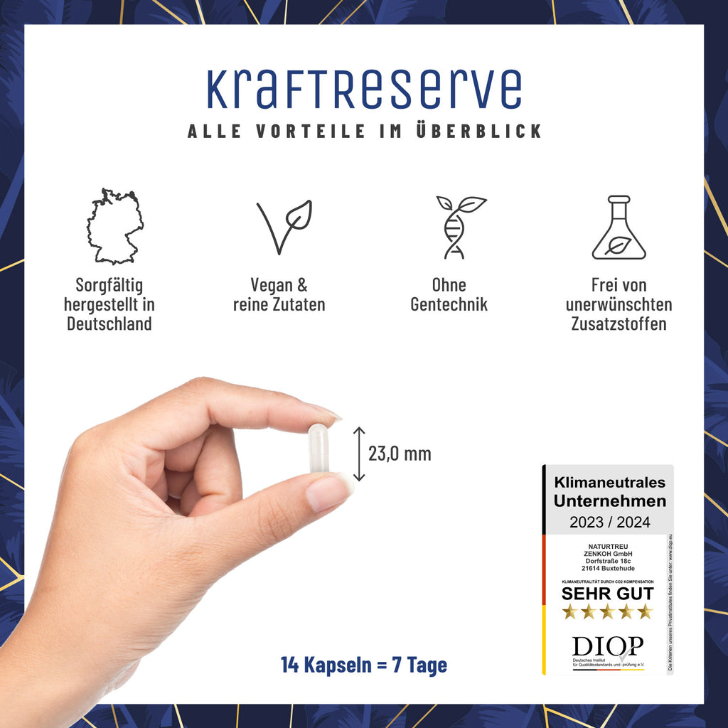 Kraftreserve Magnesium-Komplex Sachet Alle Vorteile Kapseln