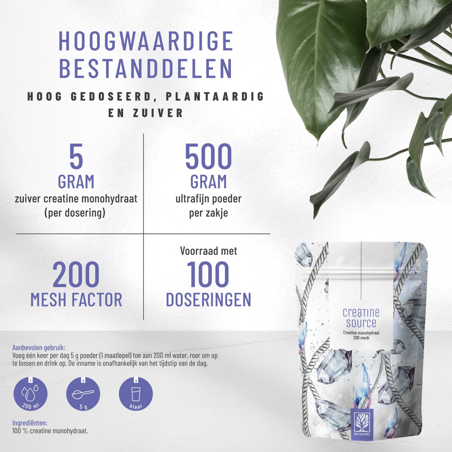 Kreatinquelle Kreatin-Monohydrat NL Inhaltsstoffe