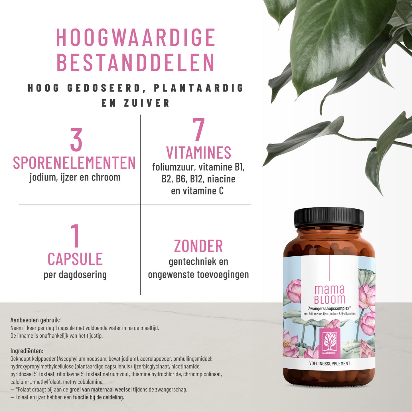 Kugelzeit Schwangerschafts-Komplex NL Hochwertige-Inhaltsstoffe