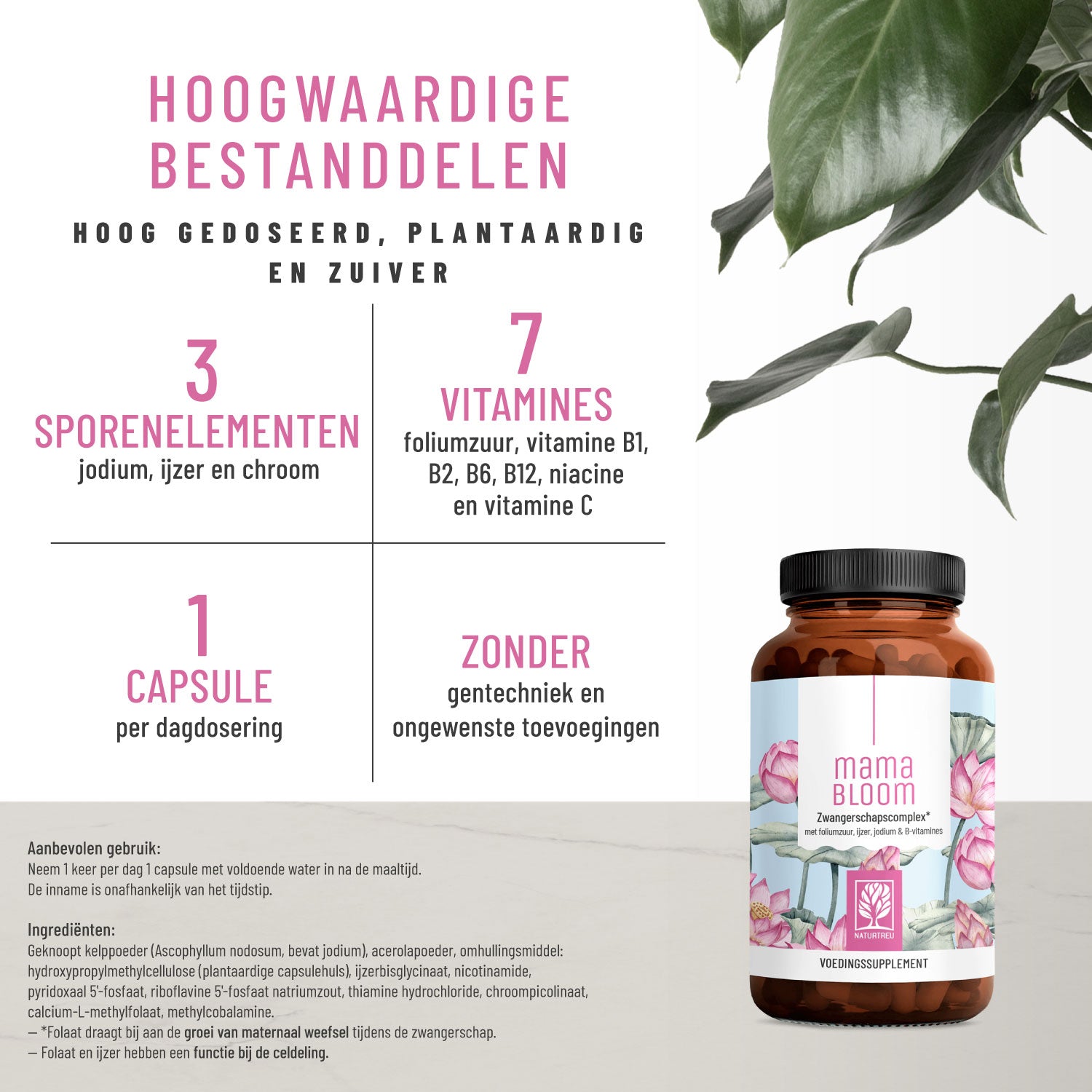 Kugelzeit Schwangerschafts-Komplex NL Hochwertige-Inhaltsstoffe