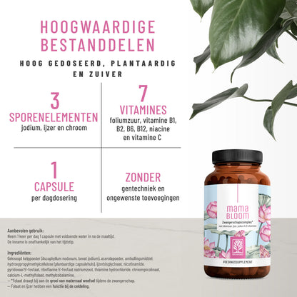 Kugelzeit Schwangerschafts-Komplex NL Hochwertige-Inhaltsstoffe
