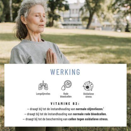 Lung Wort Meteucalyptus, Tijm en NAC NL Wirkung