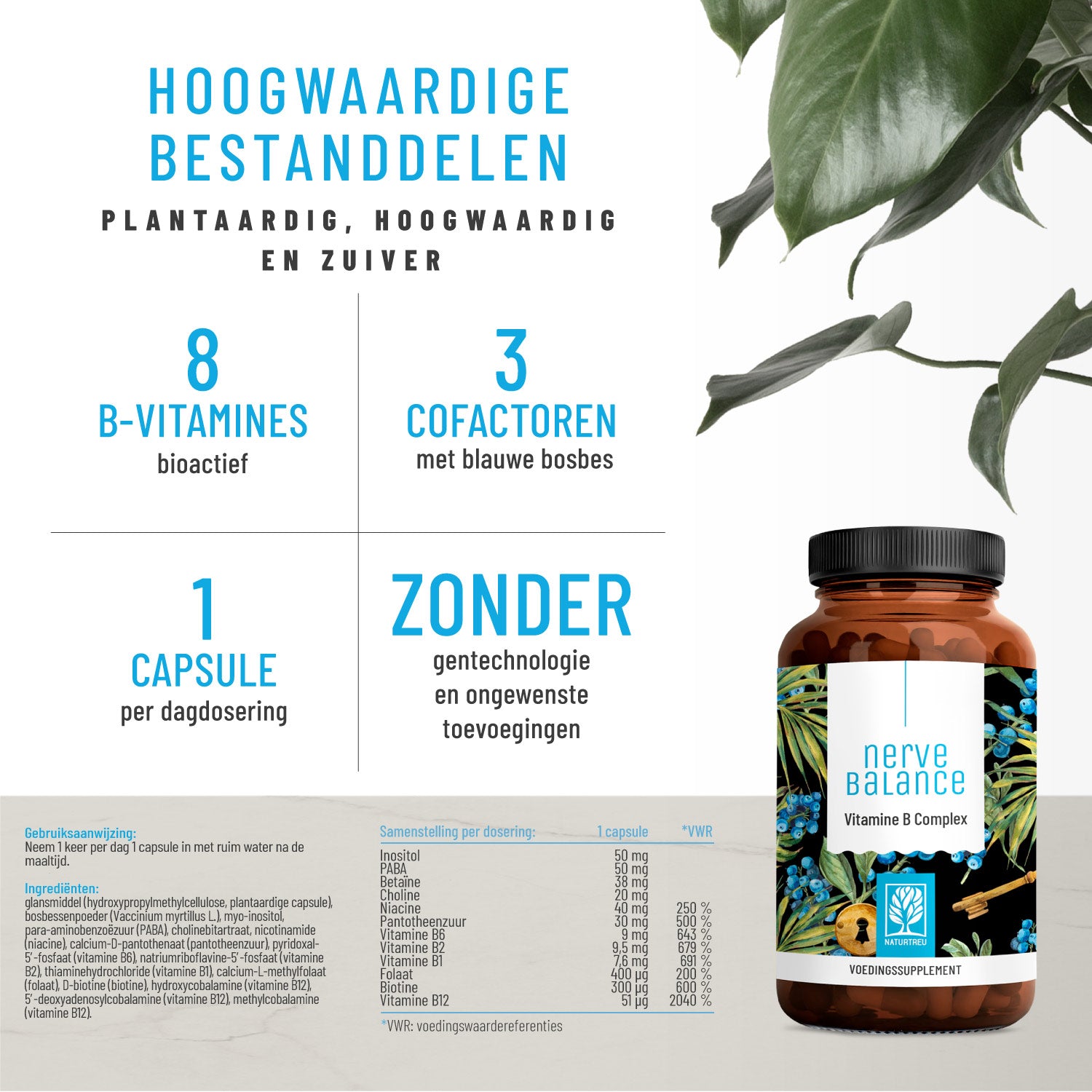 Nervenstark Vitamin-B-Komplex NL Hochw Inhaltsstoffe 