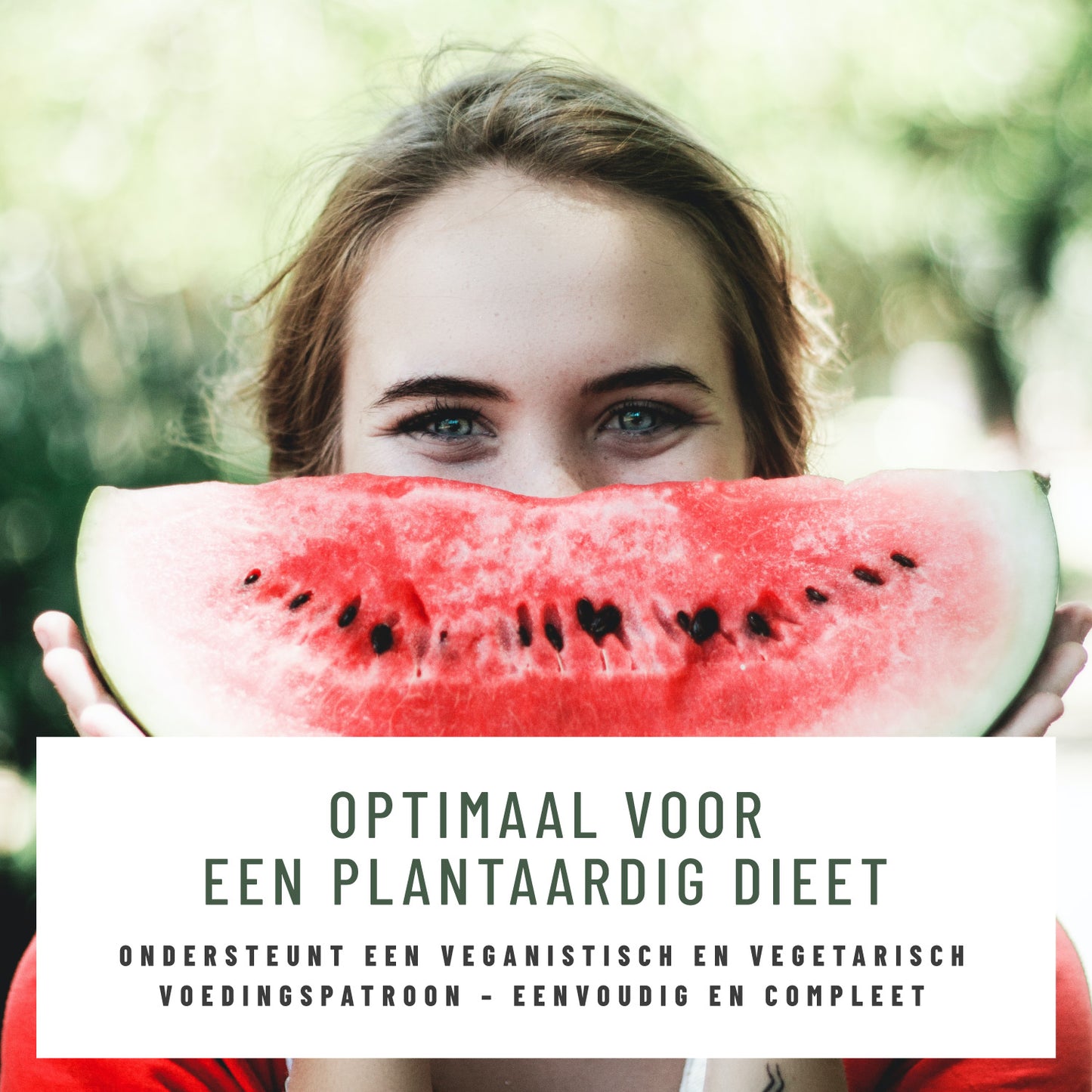 Pflanzenheld Vitamine Mineralien NL Moodbild