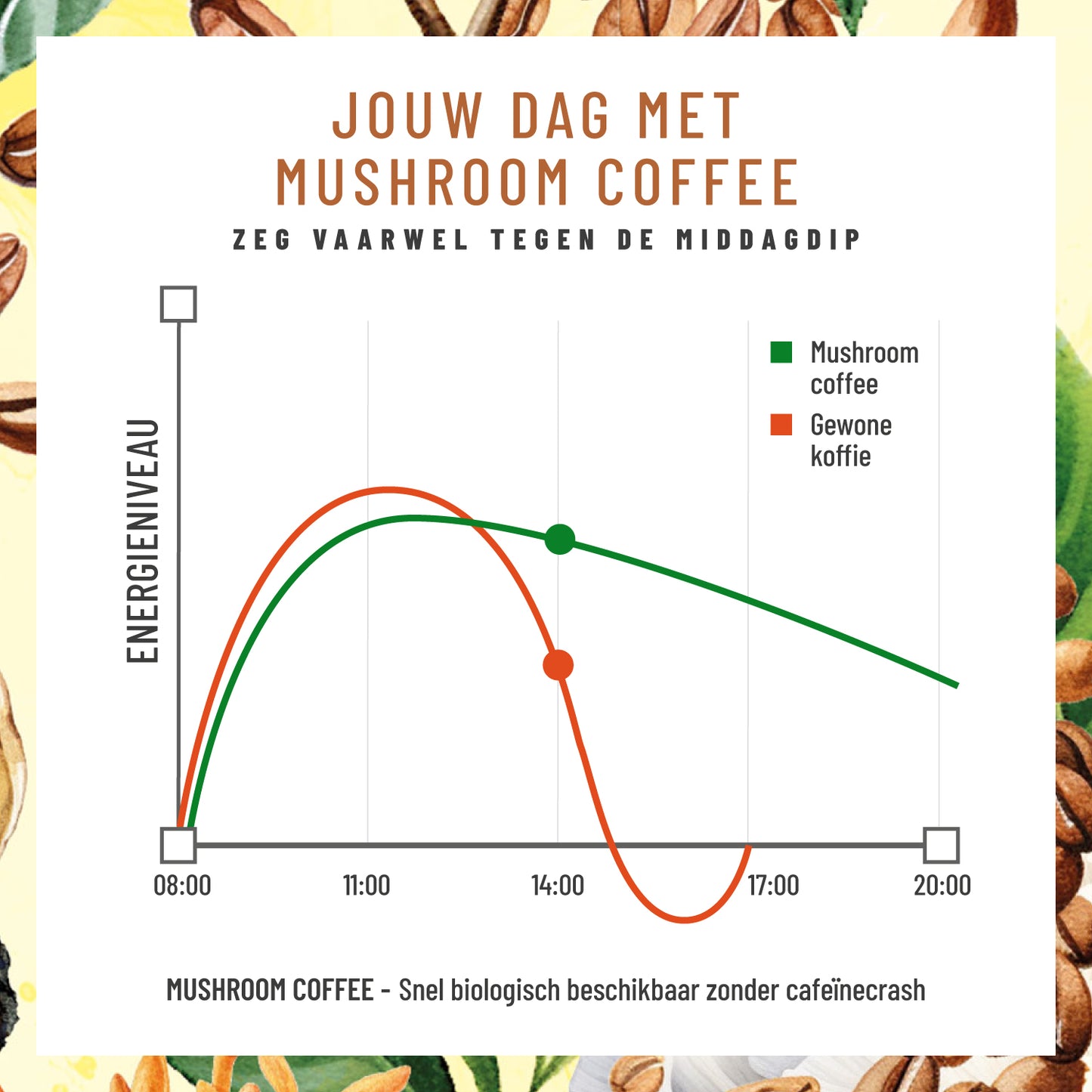Pilzkaffee Kaffeegetraenkepulver NL Moodbild Koffeinkurve