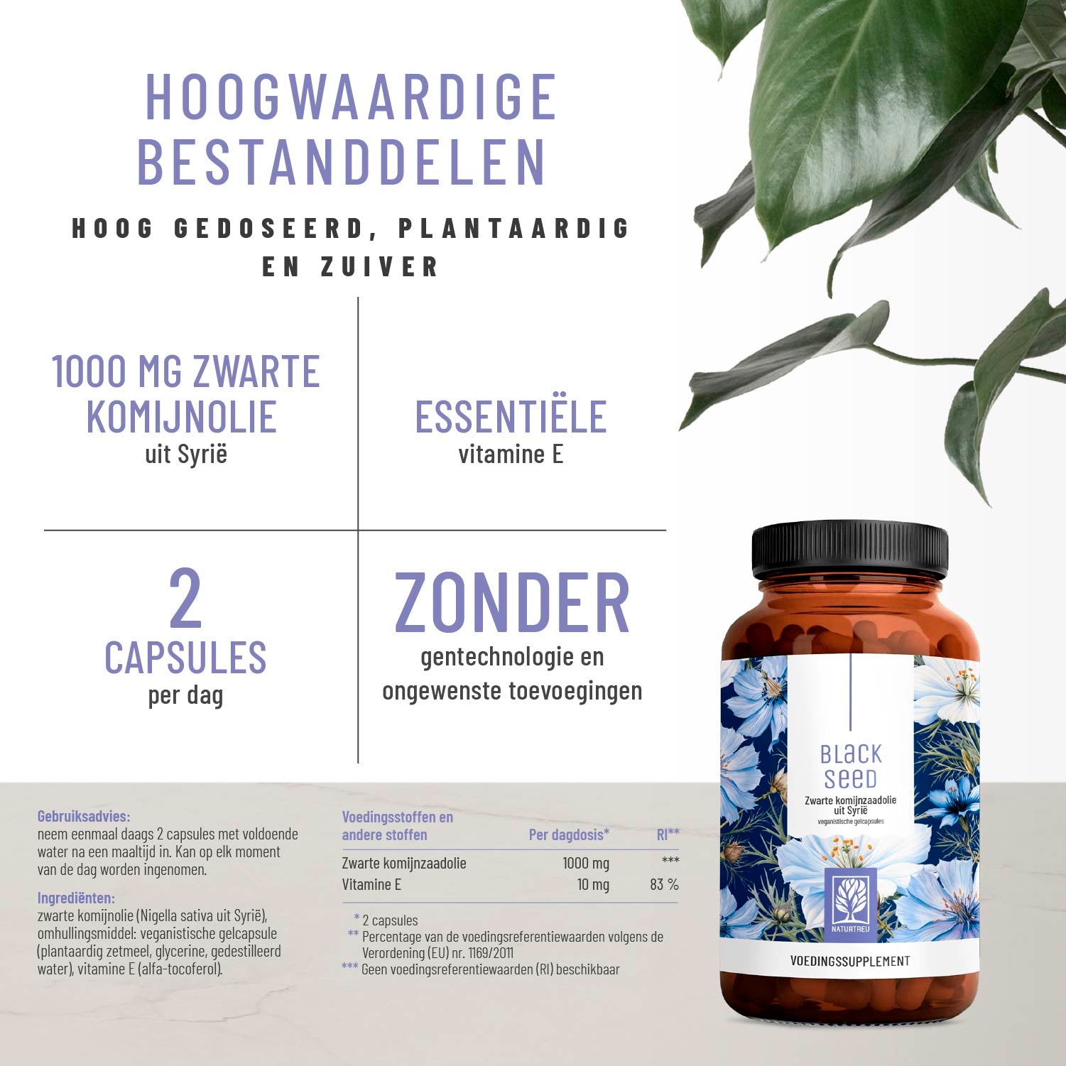 Schwarzkuemmel Schwarzkuemmeloel Hochwertige Inhaltsstoffe