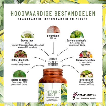 Stoffwechsel Metabolismus-Komplex NL Hochwertige Inhaltsstoffe
